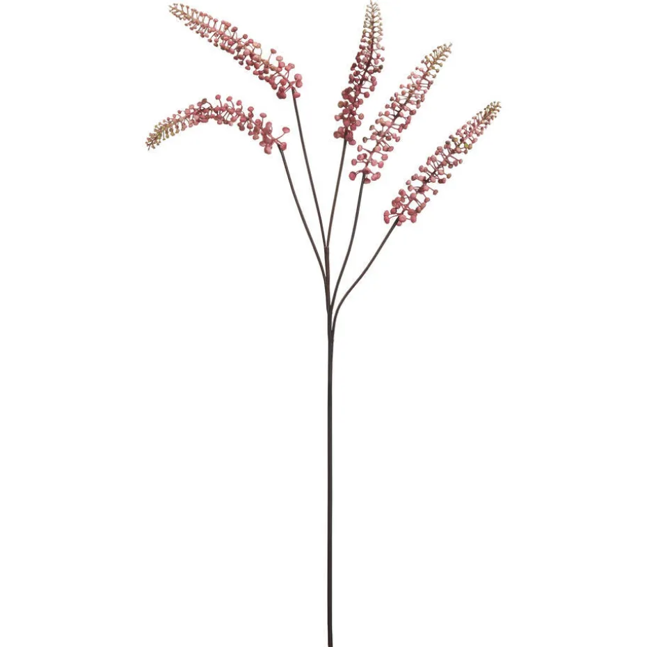 Bloem Phytolacca Roze