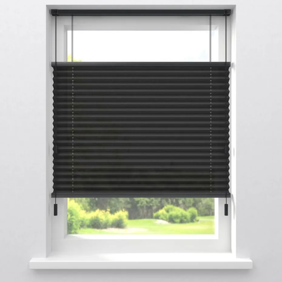 Fenstr Plissé Mara Zwart Lichtdoorlatend