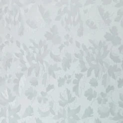 Plakfolie Blad Transparant XL