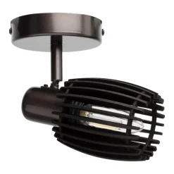 Spot Apula Brons 1-lichts