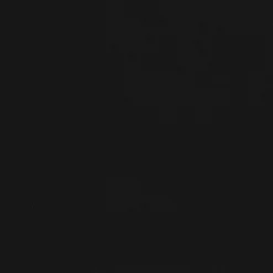 Staal Plissé Mara Zwart