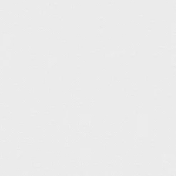 Staal Rolgordijn Fiene Wit