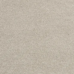 Staal Tapijt Canora Beige