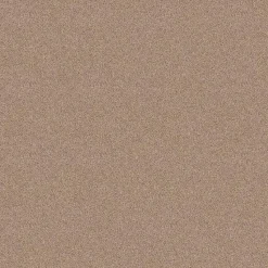 Staal Tapijt Cornell Beige