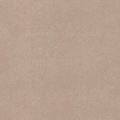 Staal Tapijt Peetz Beige