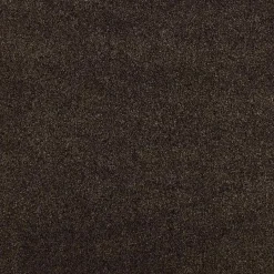 Staal Tapijt Peetz Bruin